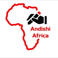 Andishi Africa logo - Similar company to Taurus Software Technologies Co. Limited