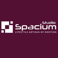 Spacium Studio logo - Similar company to Enfinito Digital Agency
