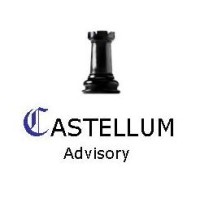 Castellum Advisory Services logo - Similar company to Red5 Systems
