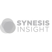 Synesis Insight logo - Similar company to Exgine Limited