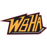 Withrow Ball Hockey Academy logo - Similar company to 9Tothrive Wellness