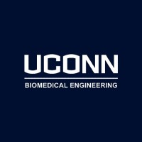UConn Biomedical Engineering Department logo - Similar company to Center For Advanced Engineering Education - Uconn
