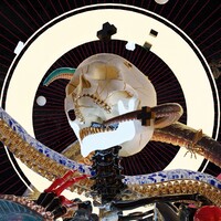 Noct.co logo - Similar company to Spectral Studios Pte Ltd