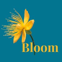 Bloom Brand Strategy logo - Similar company to Boon Distribution