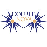 DoubleNova Group logo - Similar company to Second Time Founders