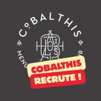 Cobalthis logo - Similar company to Enond Industrie