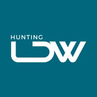 LDW Hunting | Recrutamento e Seleção de Profissionais logo - Similar company to Prover Soluções Em Ti E Software House