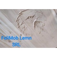 FeliMob Lemn SRL logo - Similar company to Cnc Crafting
