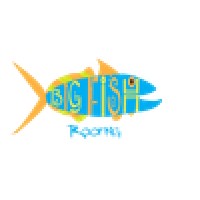 Big Fish Roofing