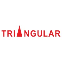 Triangular Automation Pvt Ltd logo - Similar company to Asic Networking Services Pte Ltd