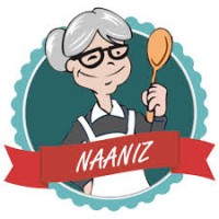 Naaniz logo - Similar company to Digibulls