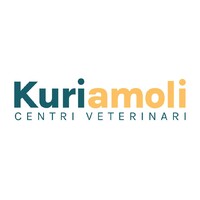 Kuriamoli logo - Similar company to Assopets