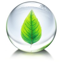 Protekting LATAM logo - Similar company to Mestiza S.A