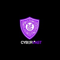 Cybervast Inc logo - Similar company to Hack It Consultancy