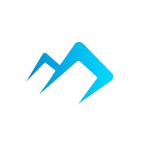Digital Peaks logo - Similar company to Opulence Invitations