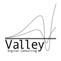 Valley Digital Consulting logo - Similar company to Valley Digital