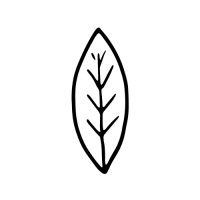 Lundavy