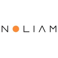 Noliam logo - Similar company to B2B Tracks (Http://Www.B2Btracks.Com)