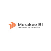 Merakee BI Analytics Ltd logo - Similar company to Vaianalytics