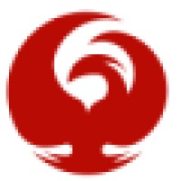 Phoenix International Communications, Inc.