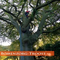 Bomenzorg-Troost logo - Similar company to De Groene Ruimte
