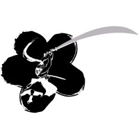 Security Ronin logo - Similar company to Security Solutions Network, Inc.
