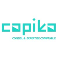 CAPIKA CONSEIL & EXPERTISE logo - Similar company to Cct, Notaires Associes