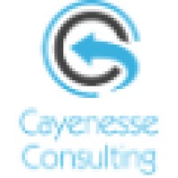 Cayenesse Consulting Ltd logo - Similar company to Techpeak Consulting Services Ltd