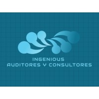 Ingenious Auditores y Consultores logo - Similar company to Micelle Dfk