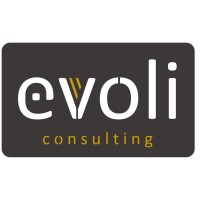 Evoli Consulting logo - Similar company to Hubresult_
