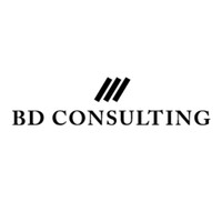 BD Consulting logo - Similar company to Bd Consultores