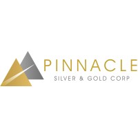 Pinnacle Silver and Gold Corp. logo - Similar company to Vortex Metals