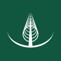 Nine Rings Capital logo - Similar company to Intelliengines, Inc.