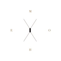 MOHE logo - Similar company to Mohe_Biotech_Group