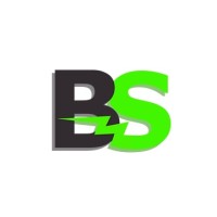 Blitz Strat Digital LLC logo - Similar company to Junk Teens