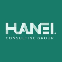 Hanei Consulting Group logo - Similar company to Avgi