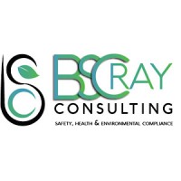 BSCRAY Consulting logo - Similar company to Ccic Environmental (Pty) Ltd