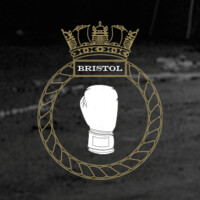 The Fighter logo - Similar company to Internverse