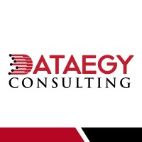 Dataegy Consulting