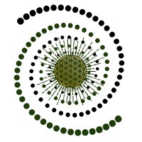 Soulful Solutions logo - Similar company to Excel Group Private Limited