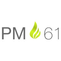 PM61 logo - Similar company to Ay Strategy Llc