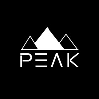 PEAK logo - Similar company to Agentur Peak