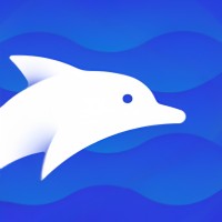 Dolphin Solutions logo - Similar company to Sadid Company