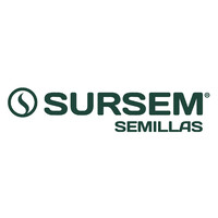Sursem Sa