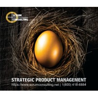 SCRUM Consulting