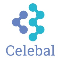 Celebal India Solutions Pvt. Ltd. logo - Similar company to Keste