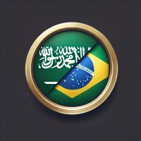 SBG Ventures logo - Similar company to Arab Network