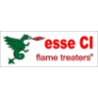 Esseci S.R.L. Flame Treaters