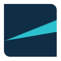 Digital Insights logo - Similar company to Ees