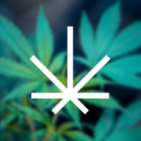 Leafalyze